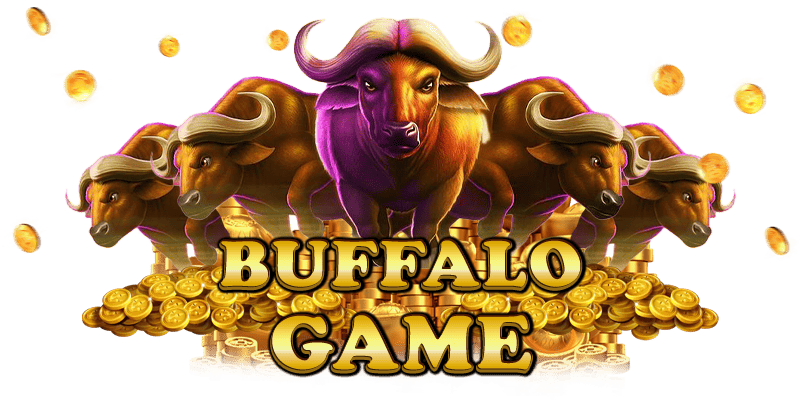 ကျွဲဂိမ်း apk